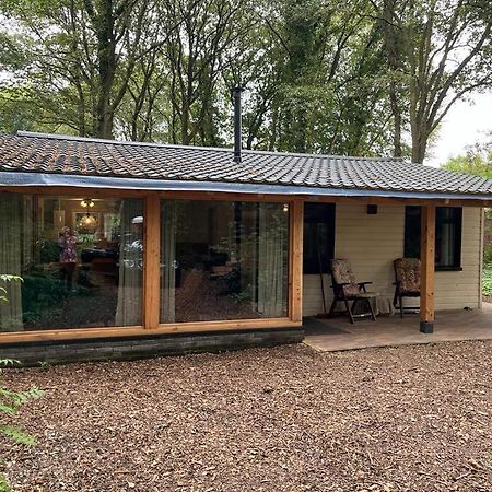 Huisje In Het Bos Zuidlaren Zewnętrze zdjęcie