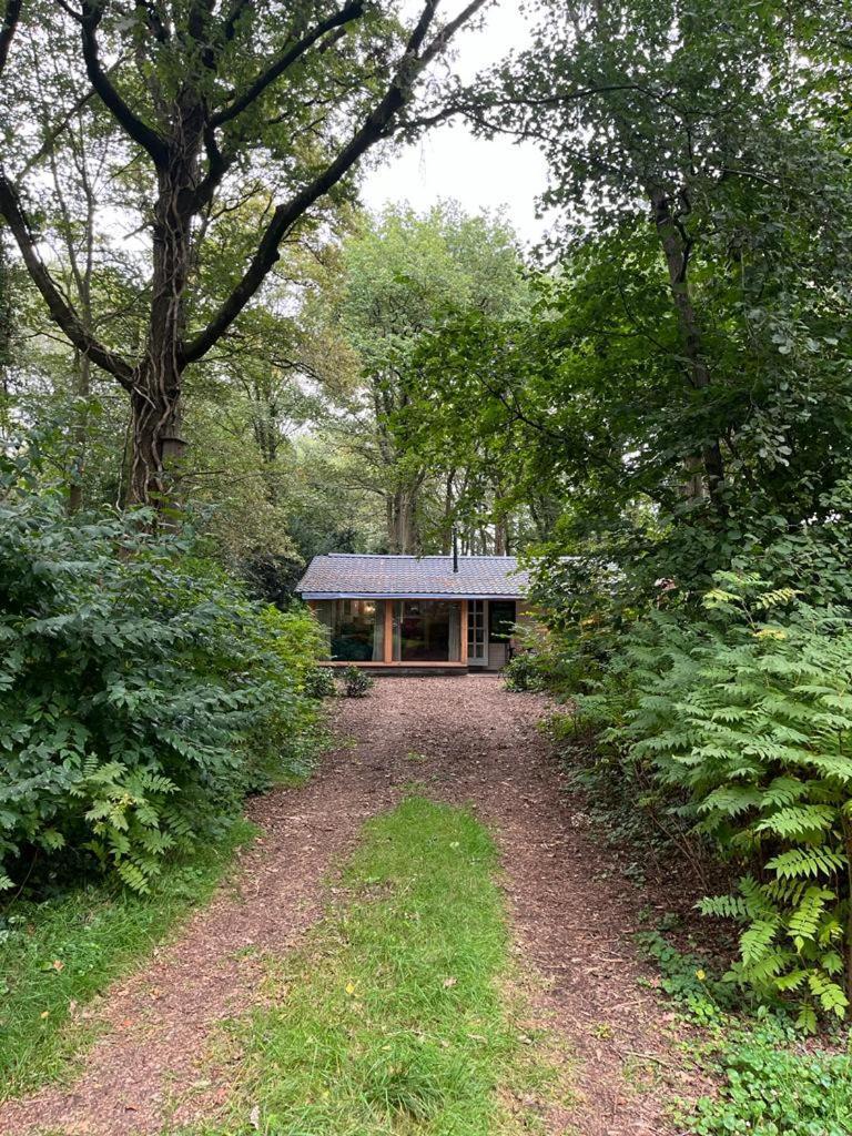 Huisje In Het Bos Zuidlaren Zewnętrze zdjęcie
