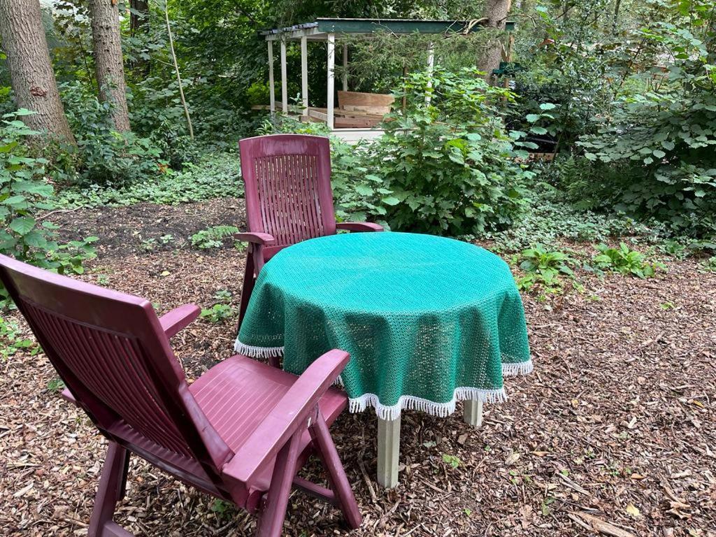 Huisje In Het Bos Zuidlaren Zewnętrze zdjęcie